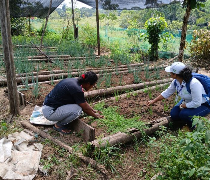 77e674c7-092f-4cde-ad27-05446f44f06e (1)