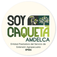 EPSEA AMDELCA
