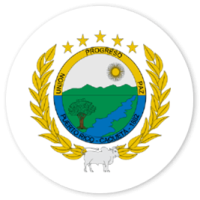 escudo-puerto-rico