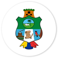 escudo-san-vicente-del-caguan