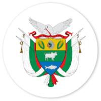 Escudo del Municipio de solano